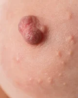 Abby Winters - 56-xl_r_charlee056