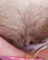 Abby Winters - 27-xl_poppy_b047