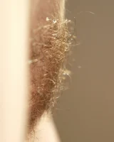 Abby Winters - 68-rani068